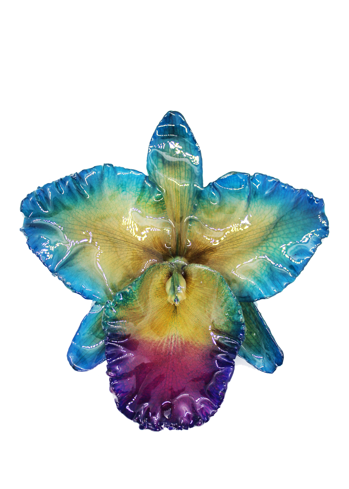 Jumbo blue, yellow, and purple orchid preserved in resin.