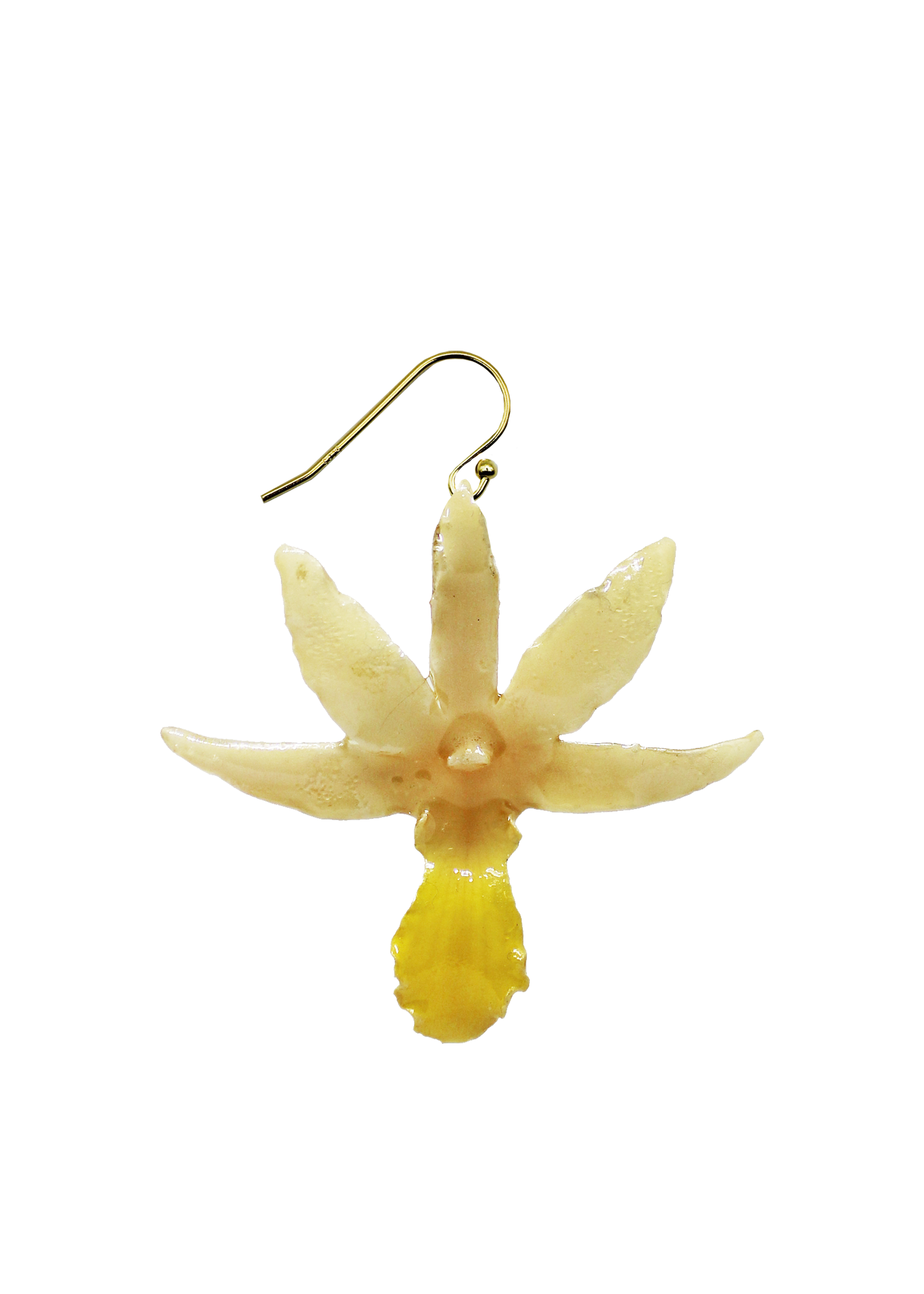 Resin Coated Yellow Lily Sundrop Orchid on a French Hook Earring