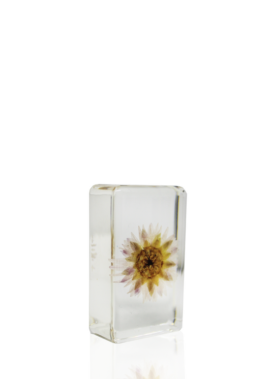 Mini crystal featuring a suspended lil paper daisy.
