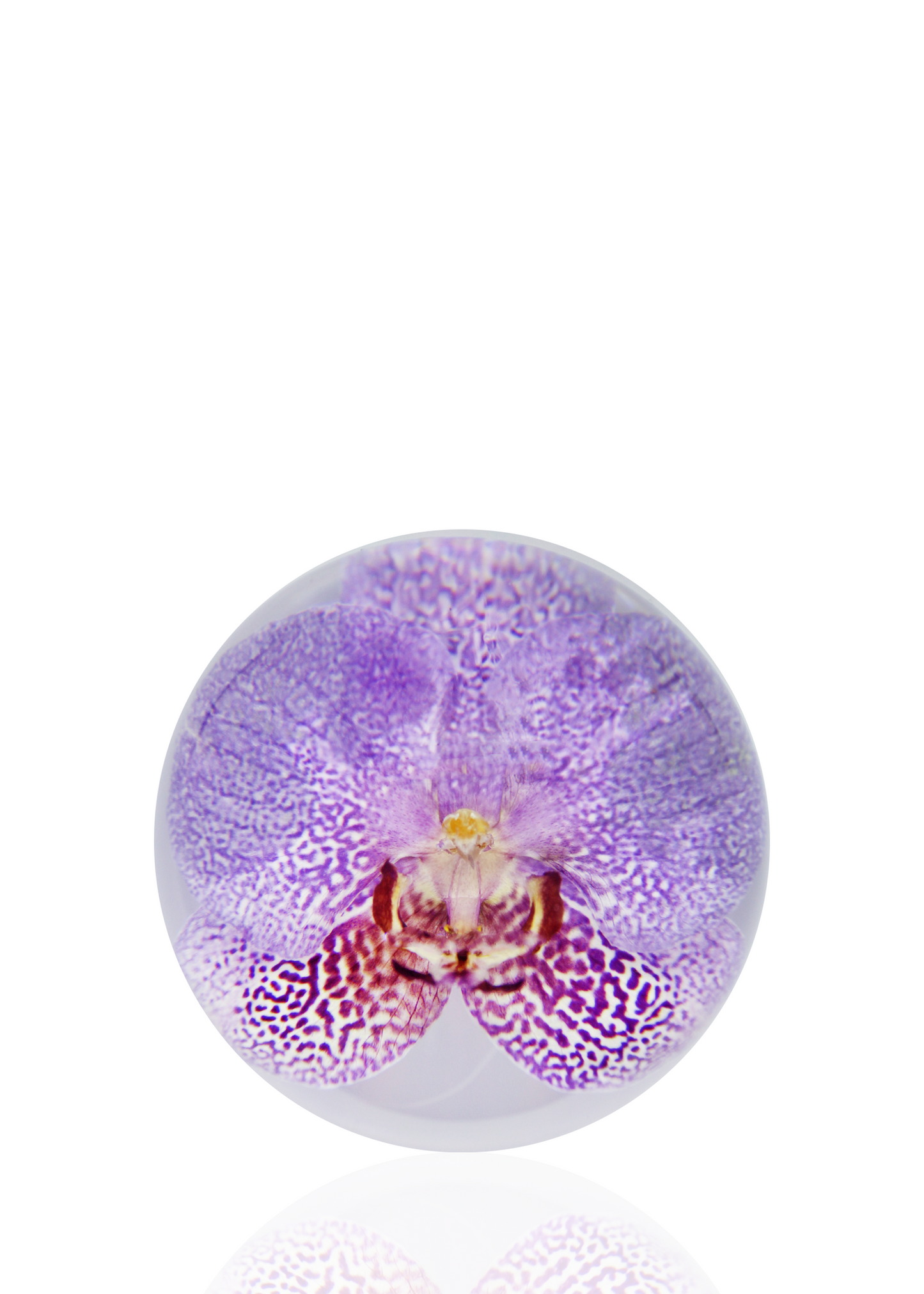 Crystal ball encapsulating a full preserved purple orchid