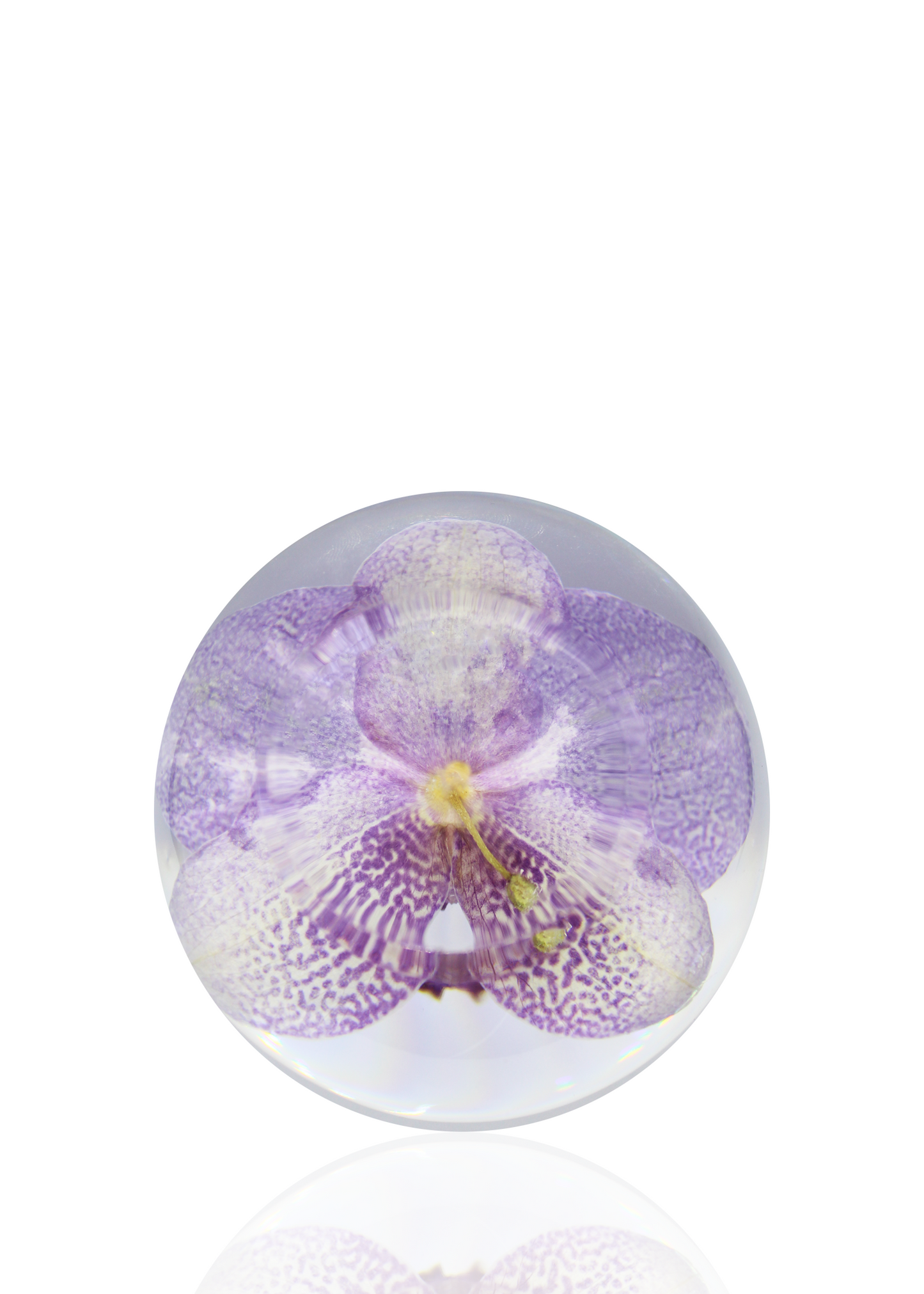 Purple Orchid Crystal