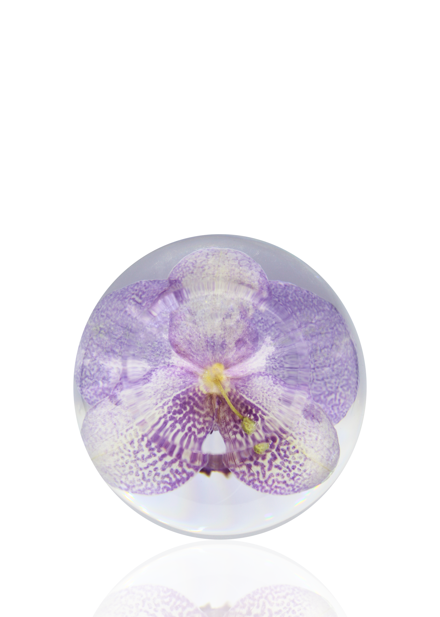 Crystal ball encapsulating a full preserved purple orchid