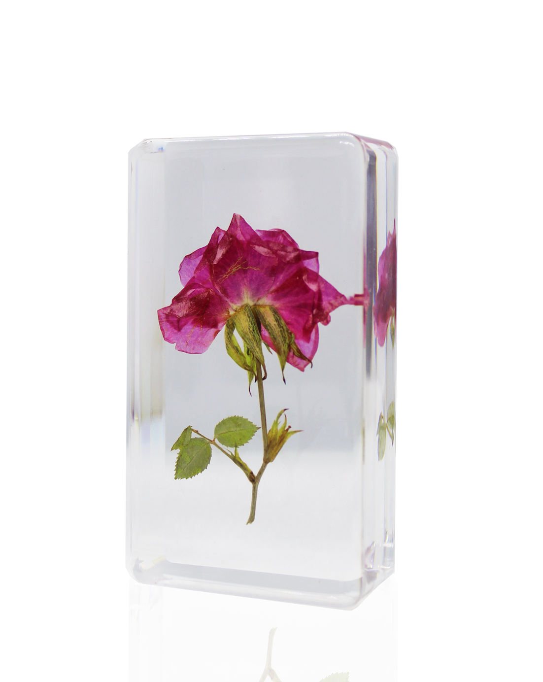 Pink Rose preserved and delicately suspended in resin. Approximately 1.5" x 3". 
