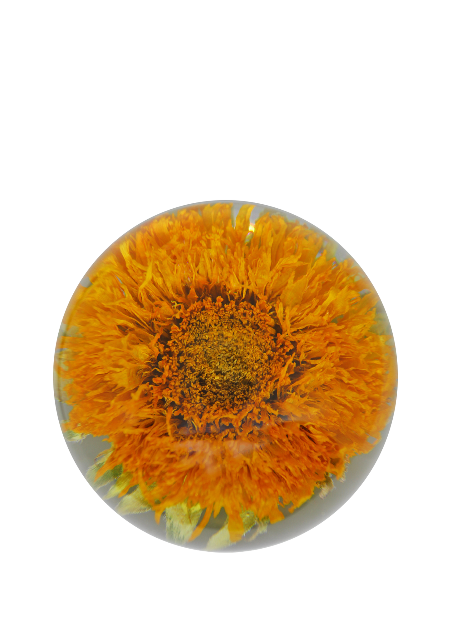 Sunflower Crystal (Pre-order)