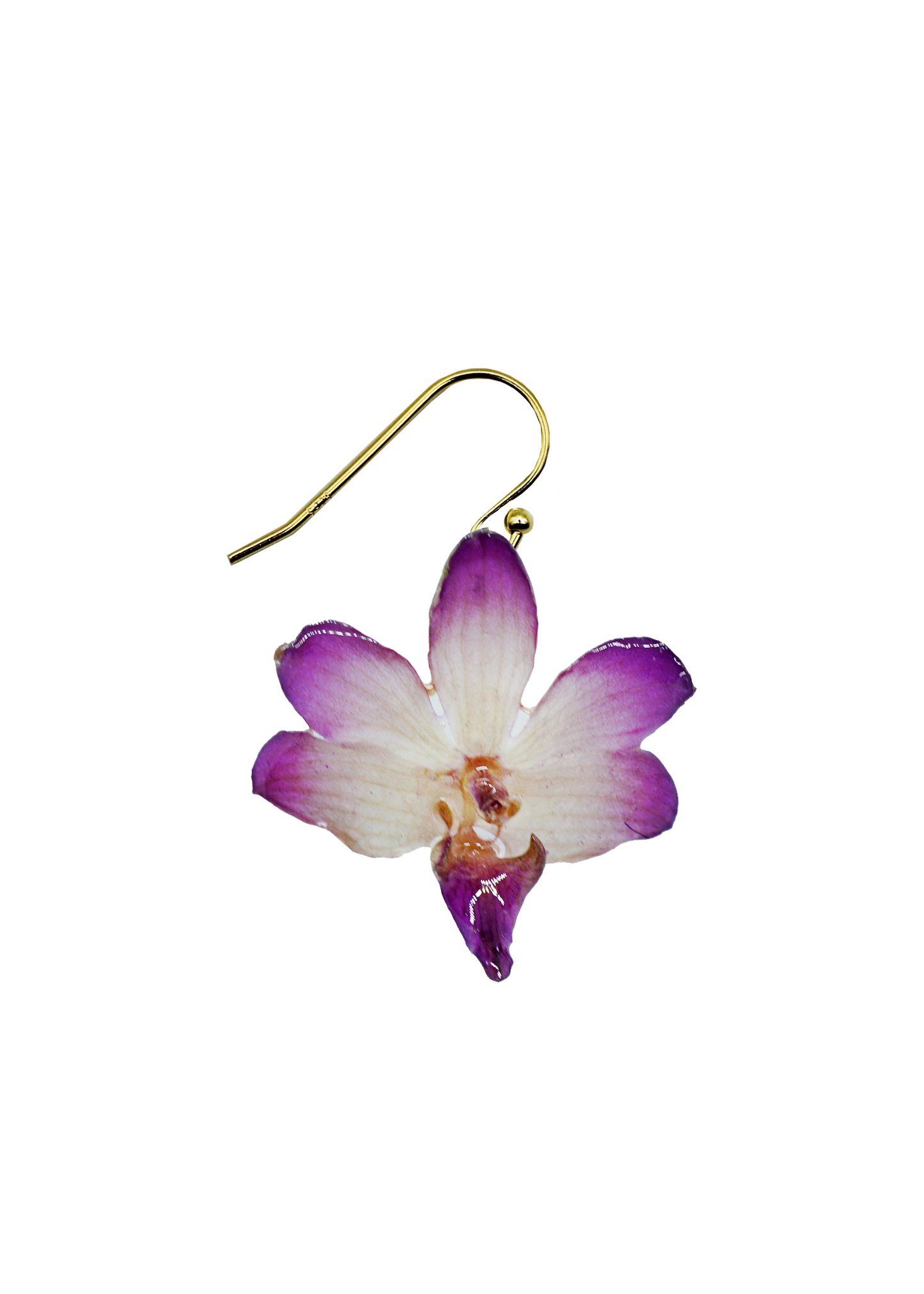 Wisteria Mini Orchid
