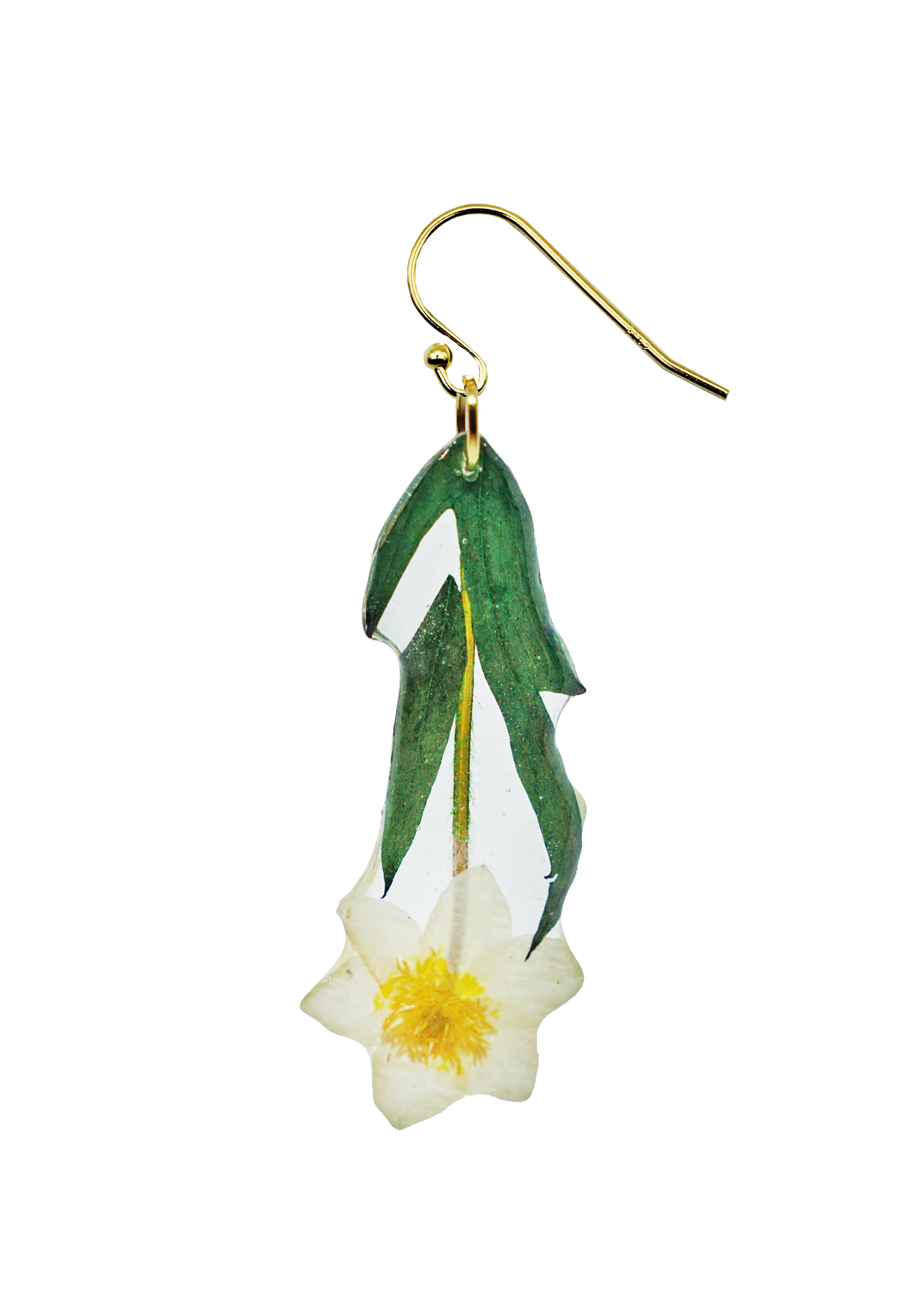 Resin coated white wood anemone flower on French Hook earring