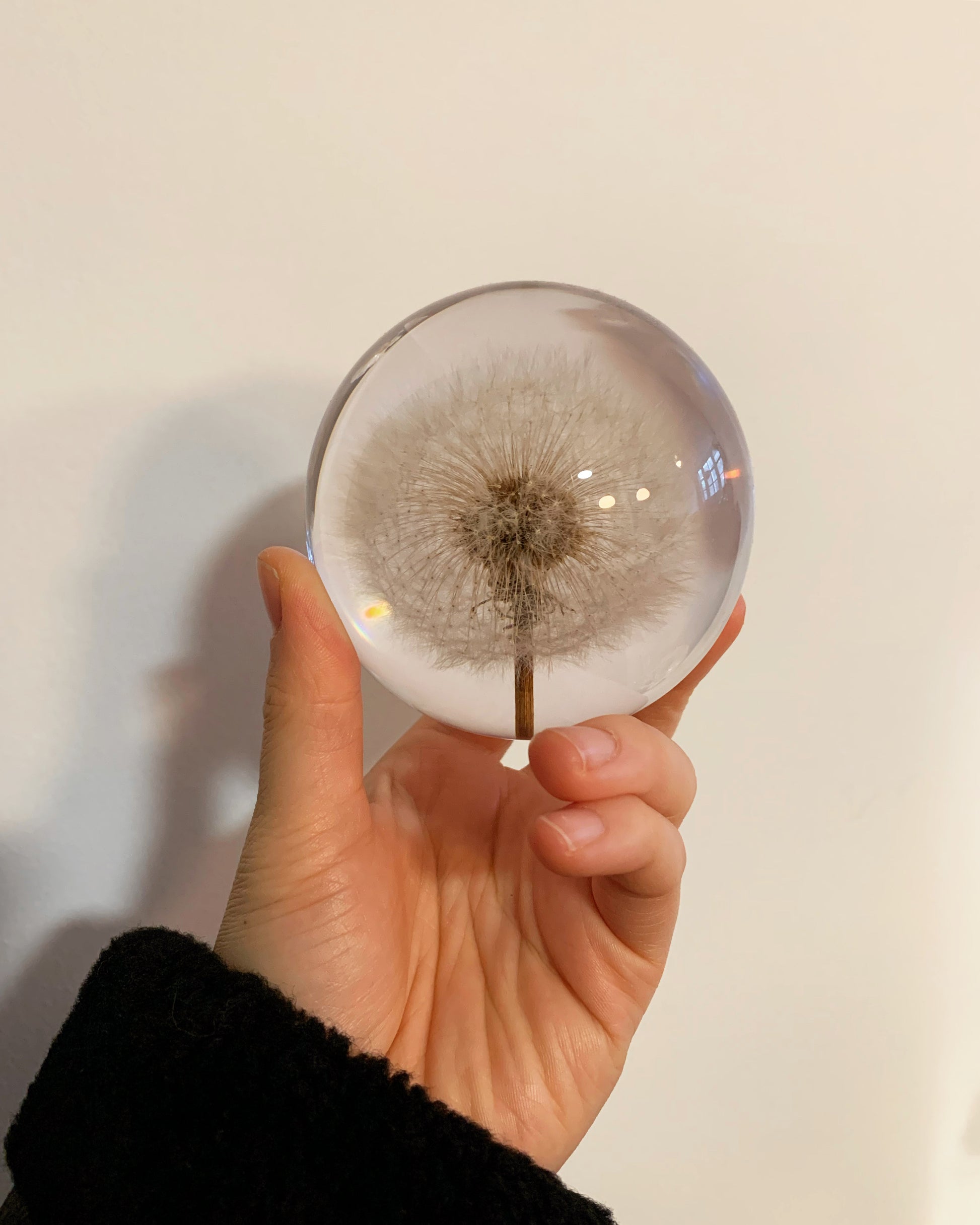 Crystal ball encapsulating a full preserved dandelion