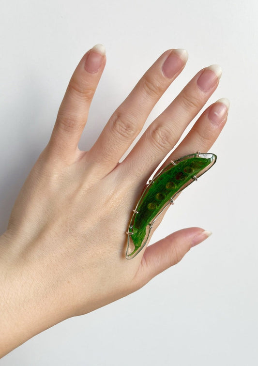 Pea pod dipped in resin on silver ring band.